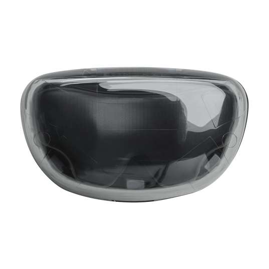 JBL Tune Flex Ghost Edition - Black Ghost - True wireless Noise Cancelling earbuds - Top